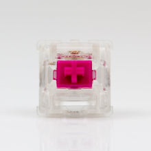 Load image into Gallery viewer, ALIAZ SILENT SWITCHES (TACTILE) （10 switches）

